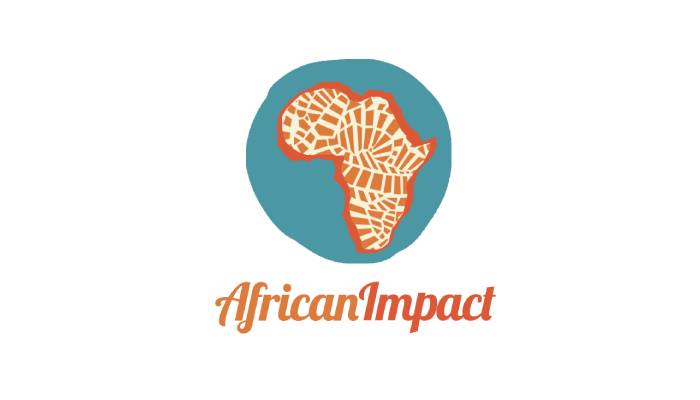 African Impact Awarded ‘Most Innovative Intern Abroad Program of 2019′