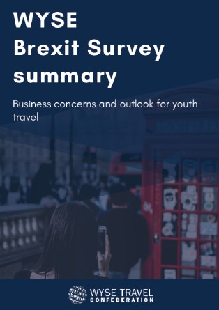 WYSE Brexit Survey summary
