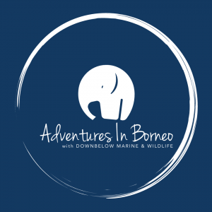 WYSE Travel Confederation 2023 Adventures In Borneo